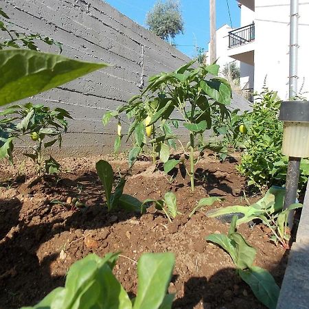 Studios Kentia Skála Marión المظهر الخارجي الصورة