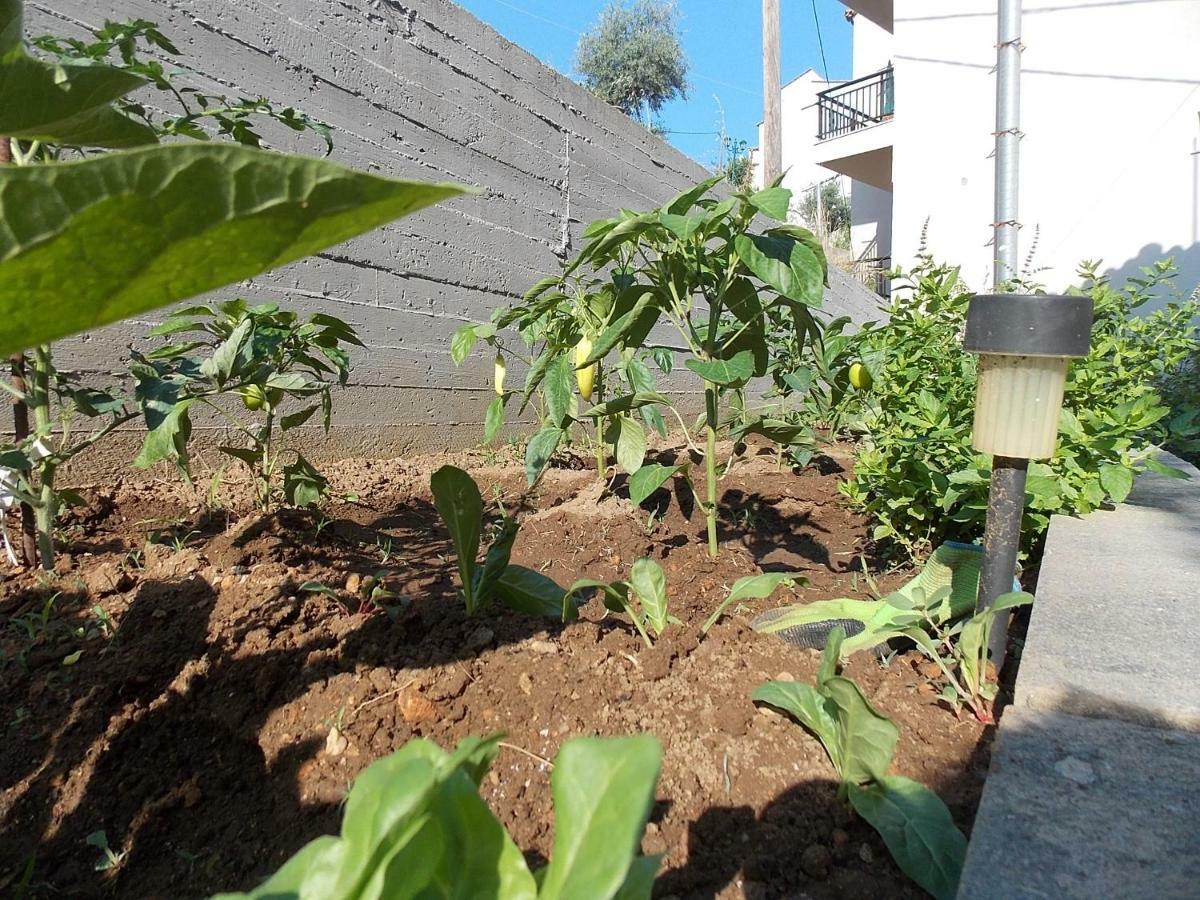 Studios Kentia Skála Marión المظهر الخارجي الصورة